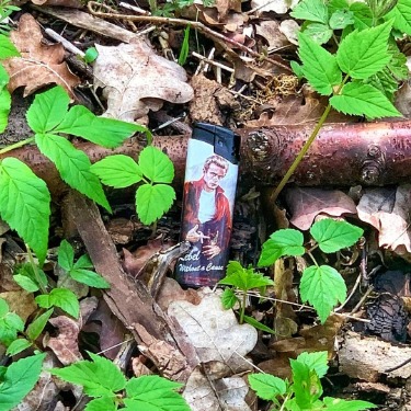 Am Waldboden lag ein Feuerzeug mit James Dean als Motiv.