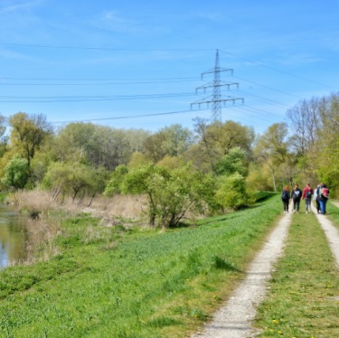 Die Gruppe marschiert am Donau-Ufer entlang Richtung Wald